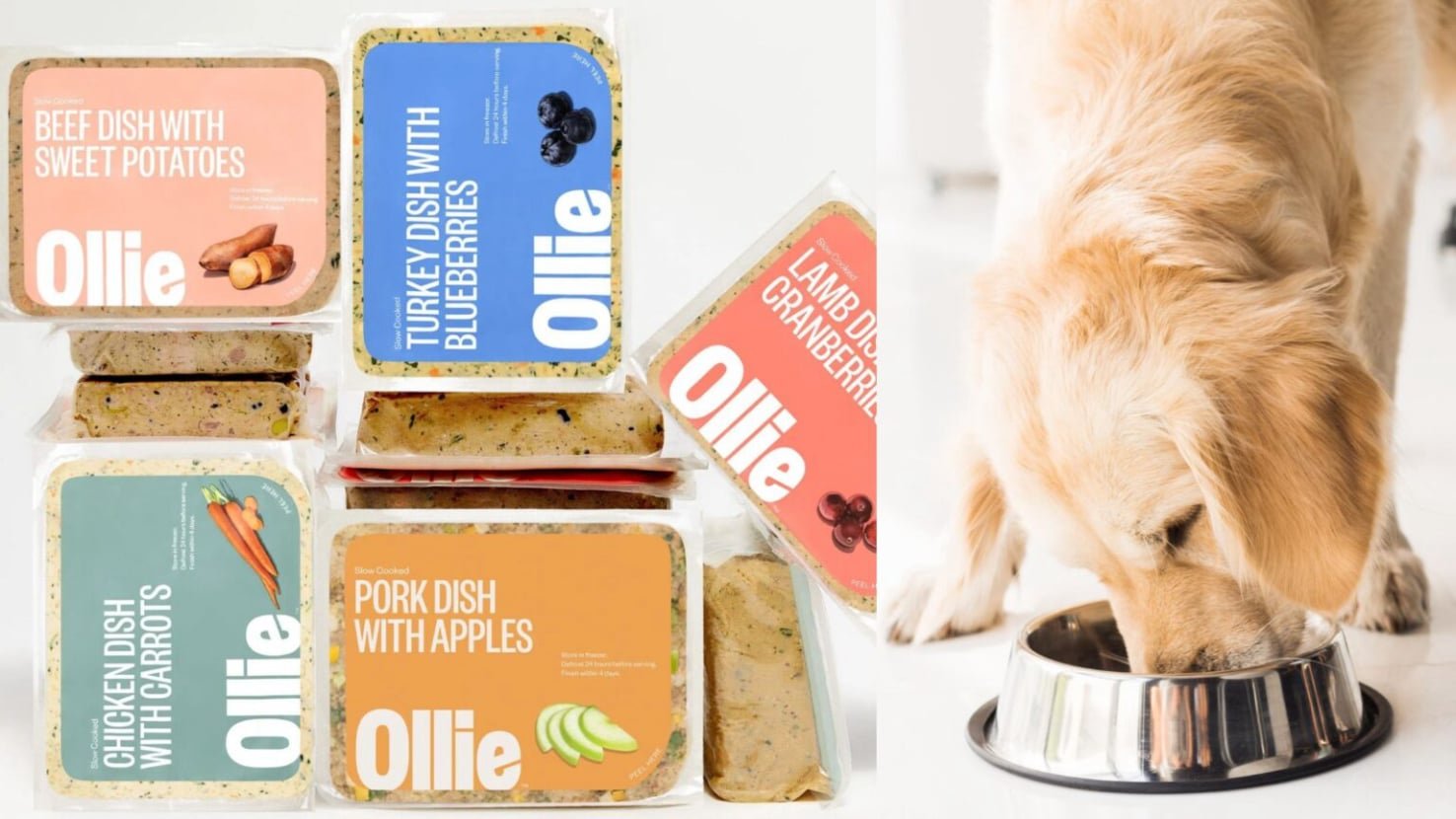 Ollie Dog Food 3