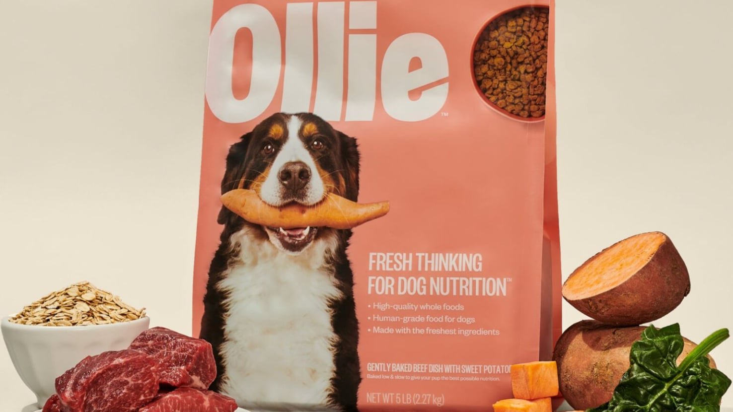 Ollie Dog Food 11